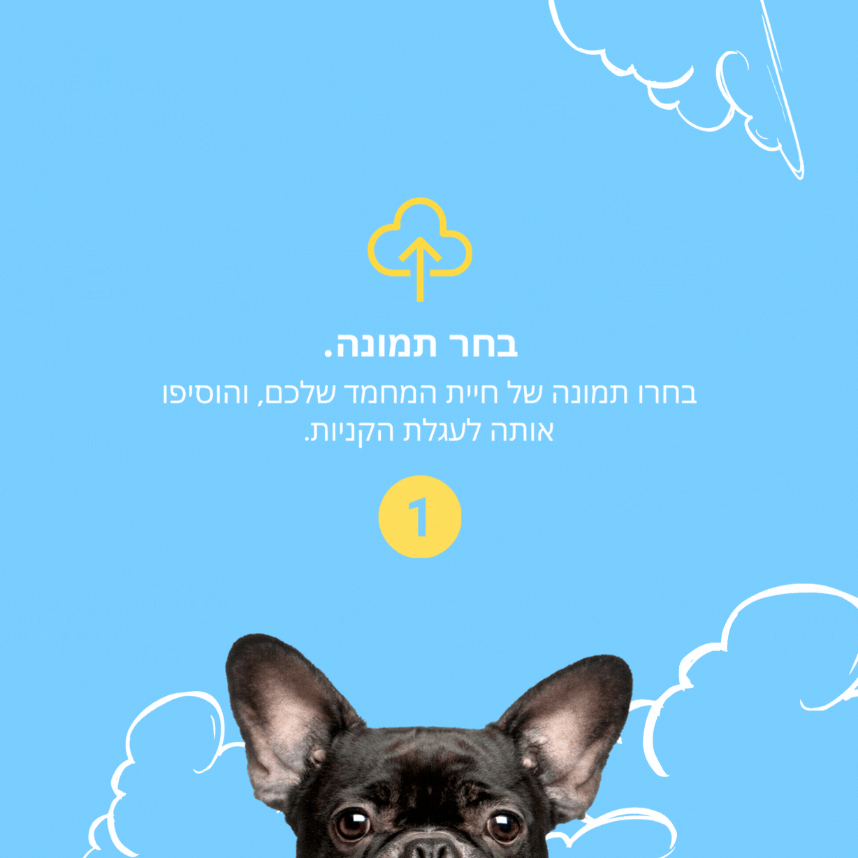 פליפוף® - כרית מחמד בגודל 50ס"מ.