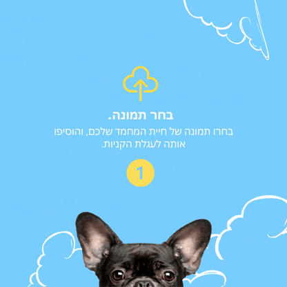 פליפוף® - כרית מחמד בגודל 50ס"מ.